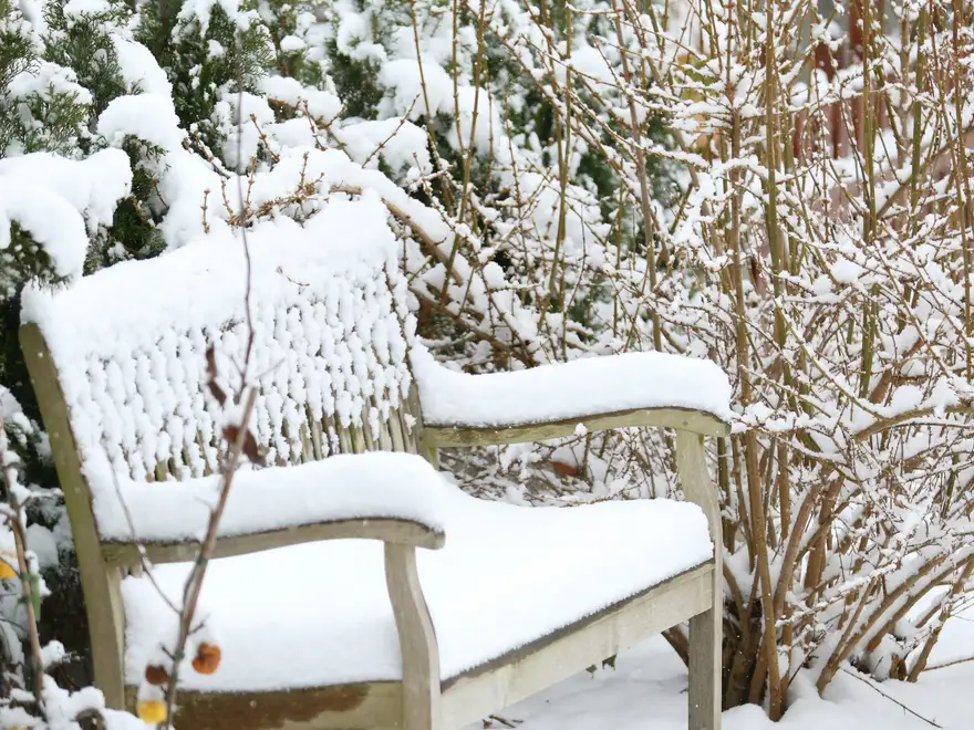 Verschneite Gartenbank neben Sträuchern im Winter