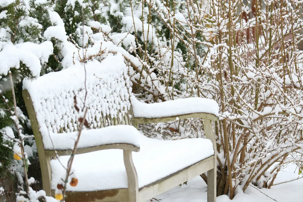 Verschneite Gartenbank neben Sträuchern im Winter