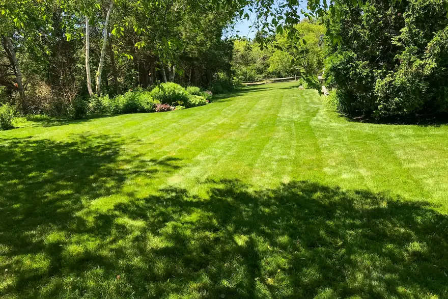 Dichter, frisch gemähter Rasen in einem Wiener Hausgarten im Spätsommerlicht