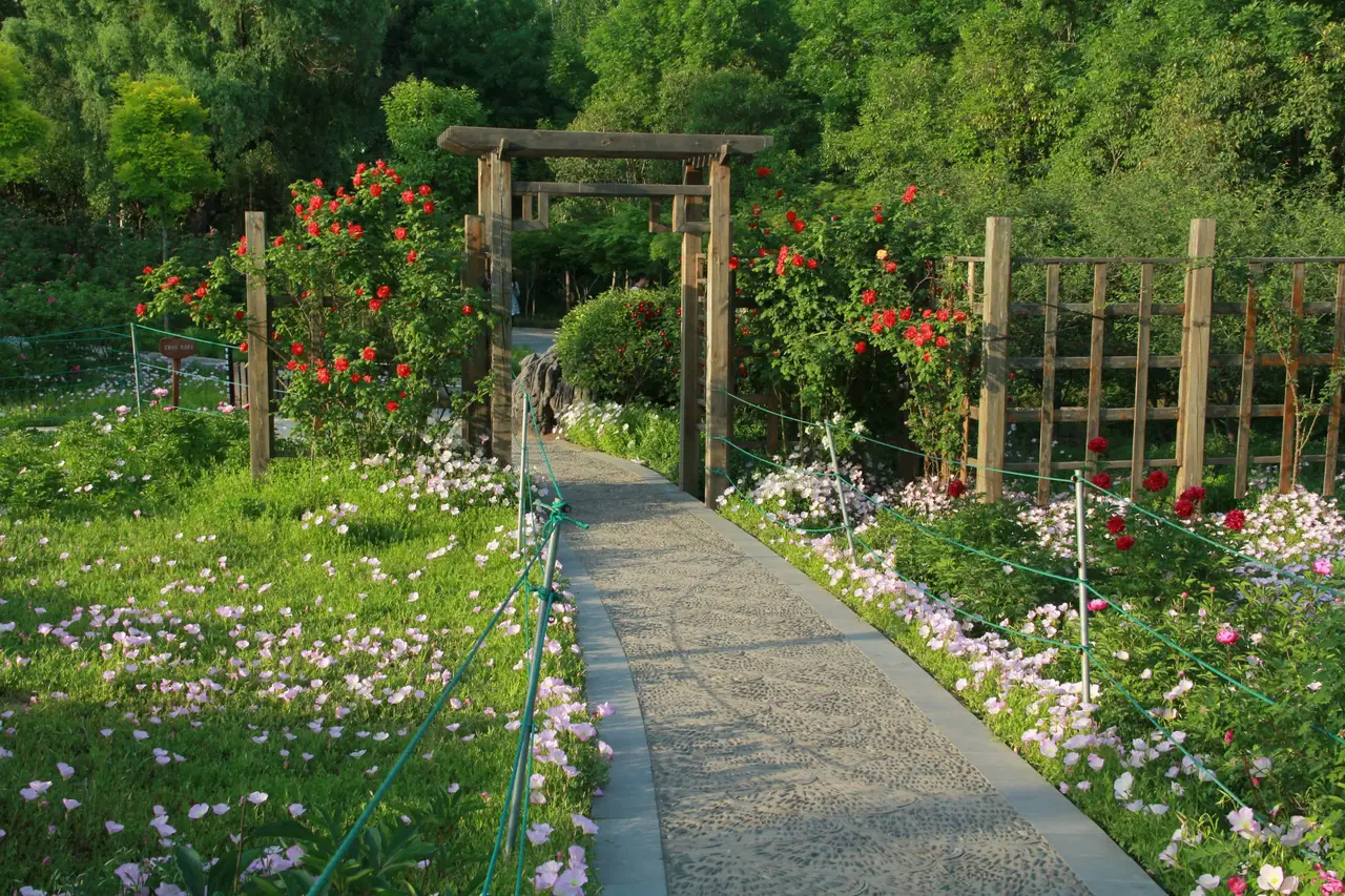 Breiter Gartenweg zwischen blühenden Rosen und Stauden im Sonnenlicht