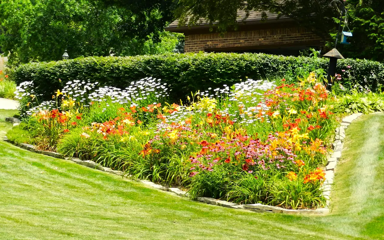 Gepflegter Garten mit Hecke, Rasen und blühendem Staudenbeet