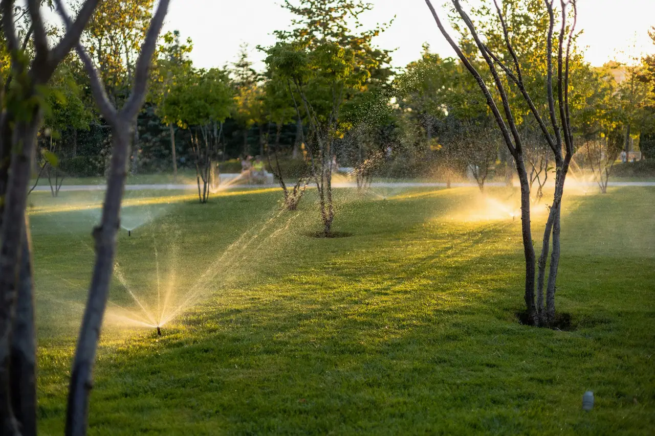 Rasensprenger bewässern eine Wiese im goldenen Abendlicht